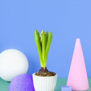 Übertopf Groove Sand 17 cm