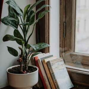 Pflanzschale Stadtbalkon 40 cm