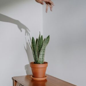 Pflanzgefäss Minimal Weiss 13 cm