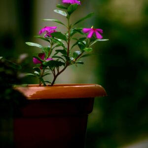 Übertopf Groove Graphit 20 cm